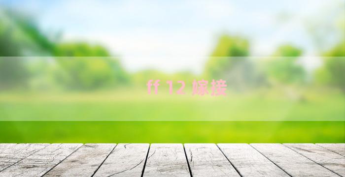 ff 12 嫁接